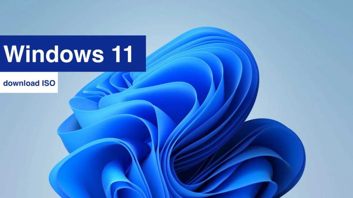 Hướng dẫn download Windows 11 ISO chính thức từ Microsoft